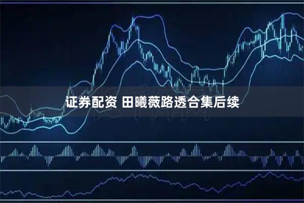 证券配资 田曦薇路透合集后续