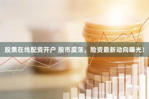 股票在线配资开户 股市震荡，险资最新动向曝光！